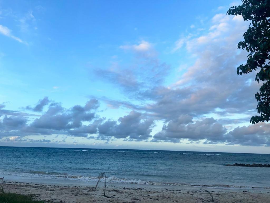 Sea Castles La Vue Appartement Montego Bay Buitenkant foto
