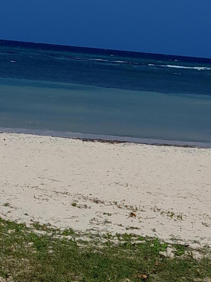 Sea Castles La Vue Appartement Montego Bay Buitenkant foto